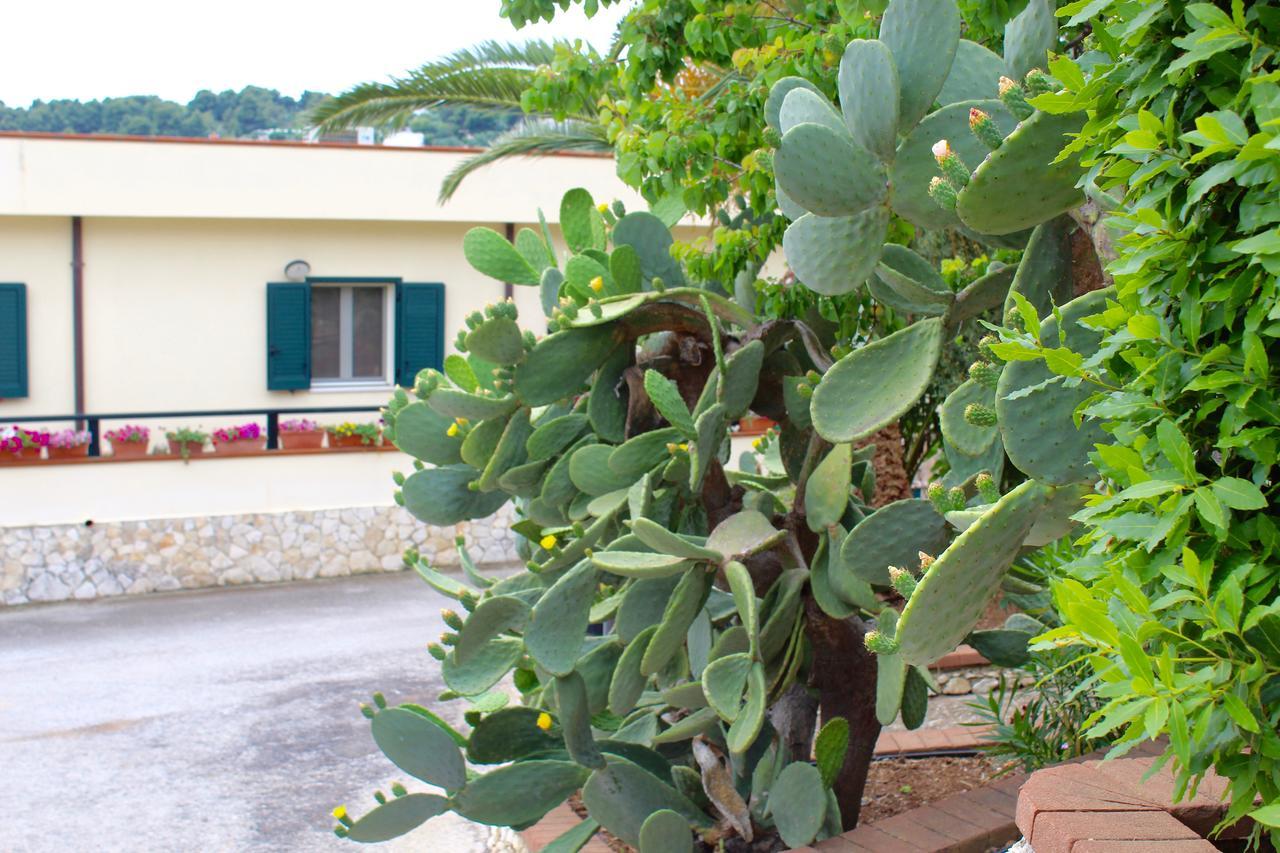 Villaggio Turistico Defensola Vieste Exterior photo